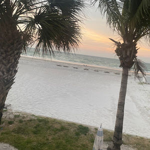 Meet your Posher, Ava